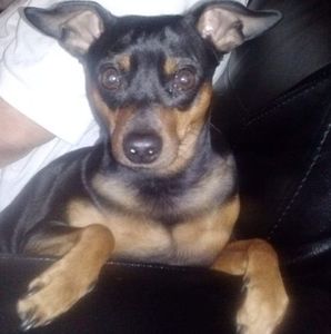 Meet your Posher, Anne